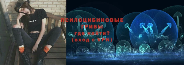 ALPHA PVP Алексин