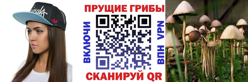 Галлюциногенные грибы MAGIC MUSHROOMS mega ссылки Аша