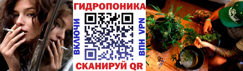наркошоп  маркетплейс наркотические препараты  Бошки Шишки MAZAR  Аша 